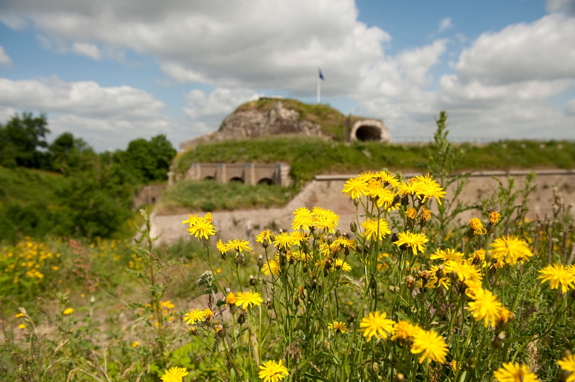 Natuurmonumenten-Natuurmonumenten - Ferry Siemensma-1920-NAMO28271 (1).jpg